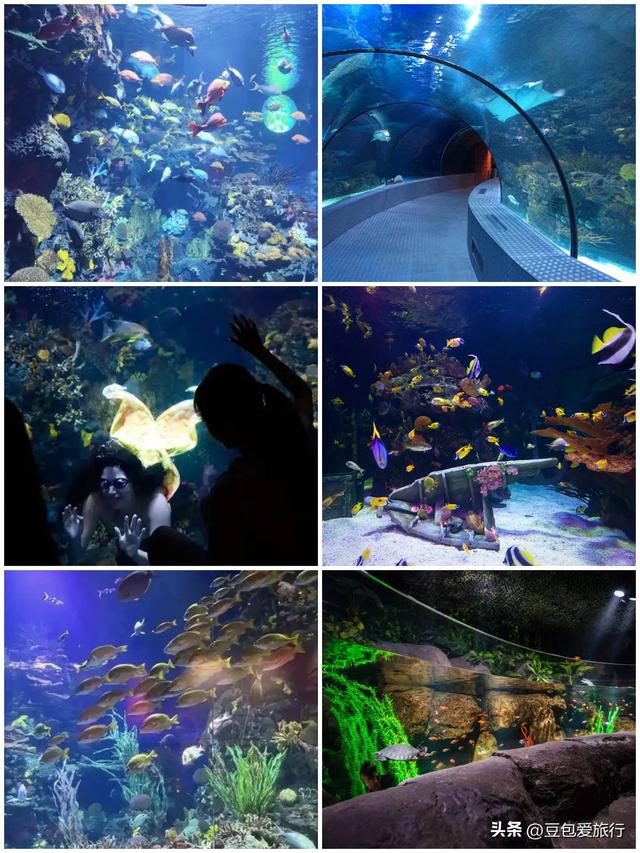 苏州河畔寻沪西烟火人文——上海普陀区漫游