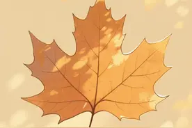 在结婚前一晚，父母一定要叮嘱女儿的6件事，看看你做了几件图片