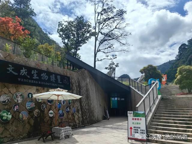 温州这个以畲族始祖命名的4A级景区，秘藏着一座“生物王国”！