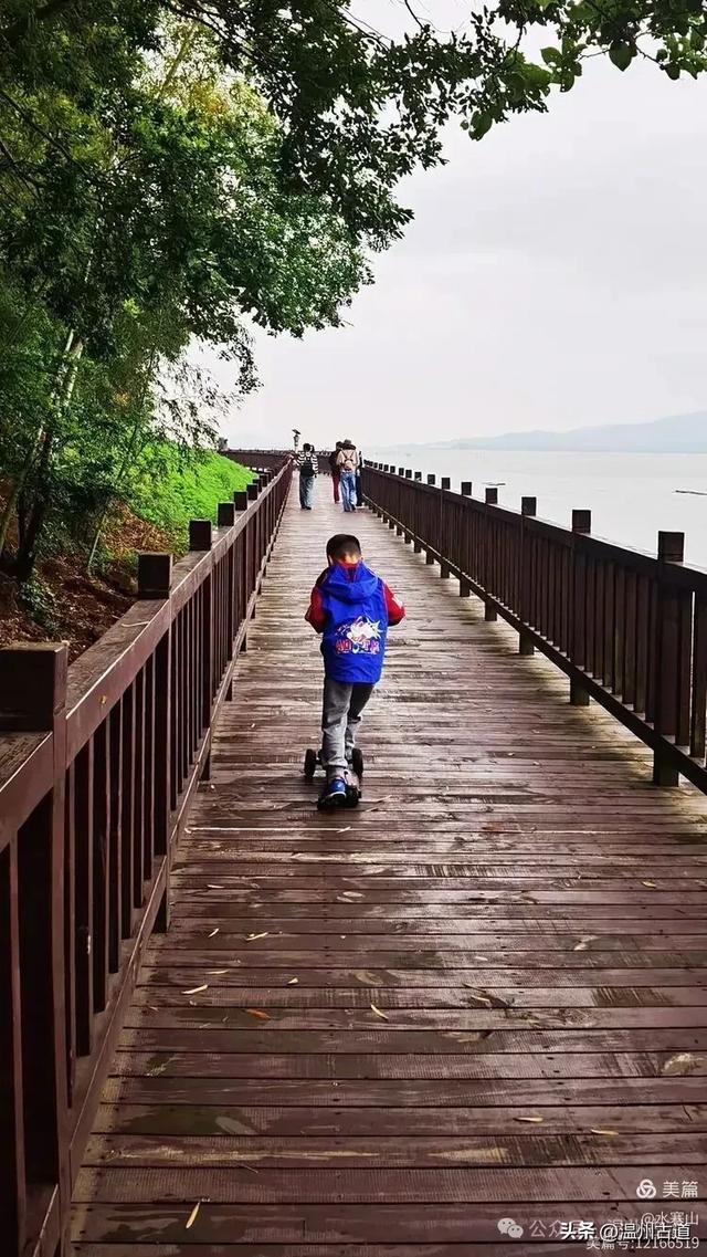 浙江这个山海古村,处在网红风景线上,丛林秘境中藏着一片花海