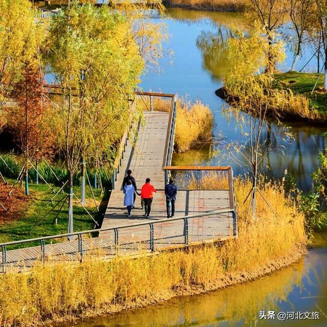 秦皇岛最大临海公园迎来"颜值巅峰",栈桥听海、枫林斑斓,打卡走起!