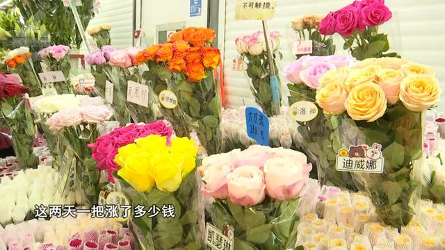 这才是重阳节该有的样子!爬西山、买花、吃重阳糕…昆明人的过节“三件套”齐了~