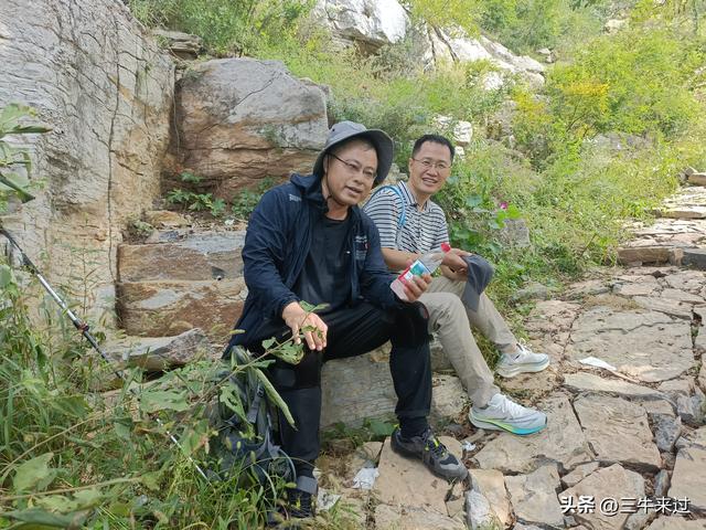 无为在歧路，莱芜霹雳尖