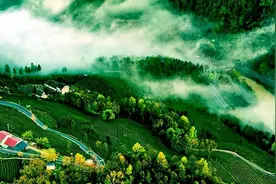 湖北宜居大比拼！宜昌、武汉、荆门荣登榜首，哪三城不幸落榜？图片