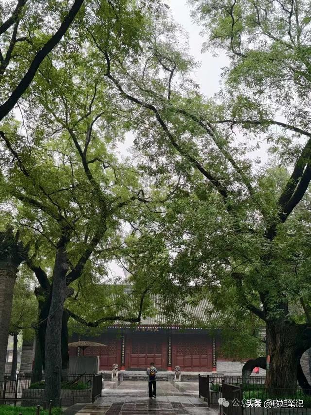 【西安游学之三】文博探秘：西安博物院