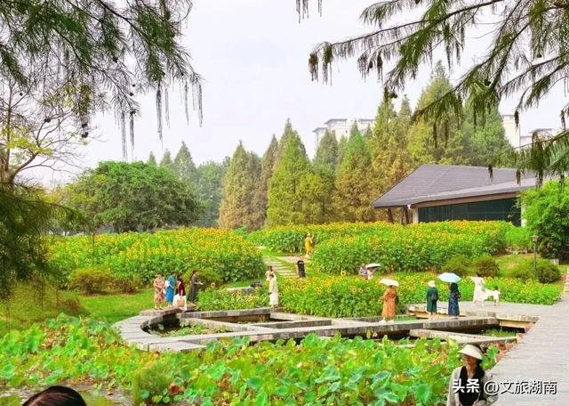 会玩的长沙人，都在这些地方过秋天