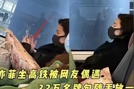刘亦菲高铁熟睡被偷拍，皮肤泛红山根突出，32万包包随意放置？图片