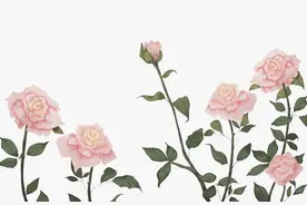 才发现，一个家庭的兴旺发达，源于三大法宝图片