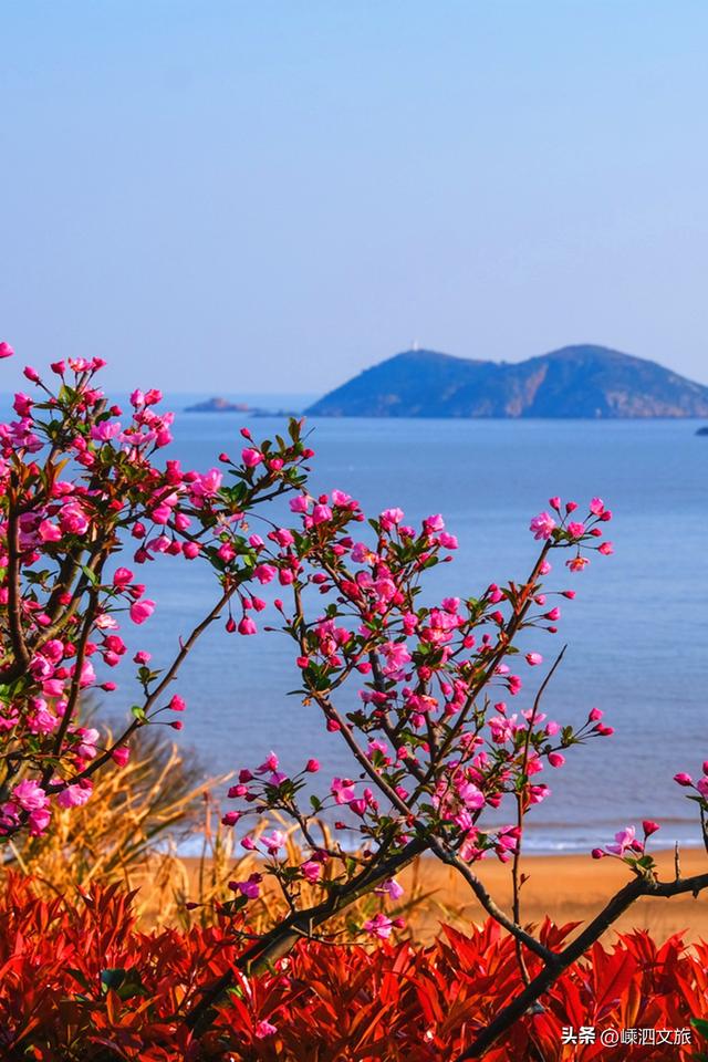 好久不见！快来邂逅嵊泗的春天！