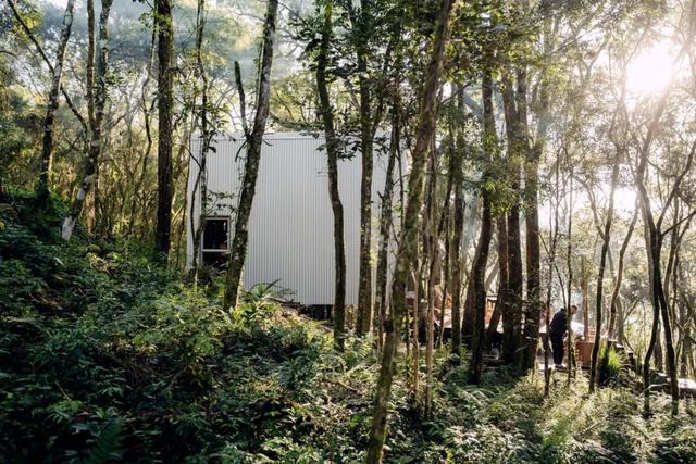 35㎡的森林拥抱，沉浸式短住秘境小屋