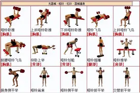 如何使用哑铃锻炼全身？图片