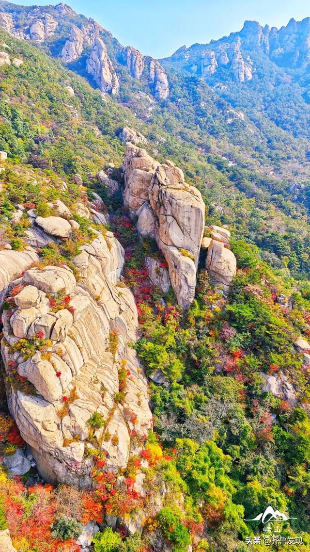 崂山赏秋攻略出炉！快收藏！（内附赏秋地图）