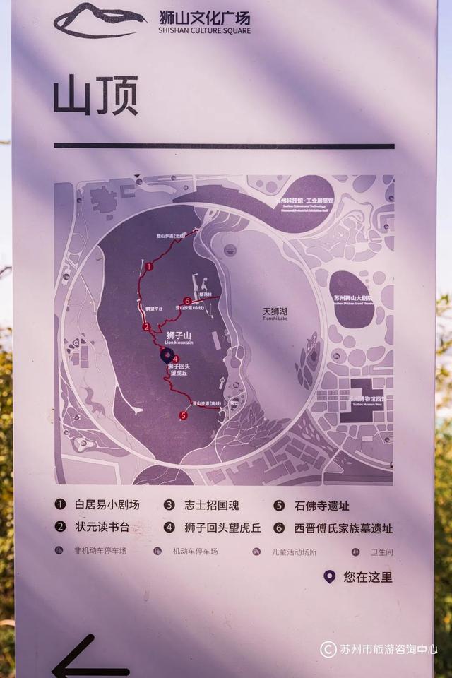 从狮子山到博物馆，苏州人“晨”会玩