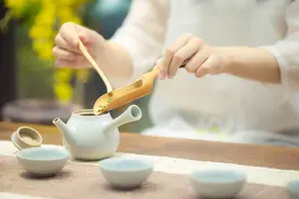 茶醉是什么？喝个茶还能喝醉？‌图片