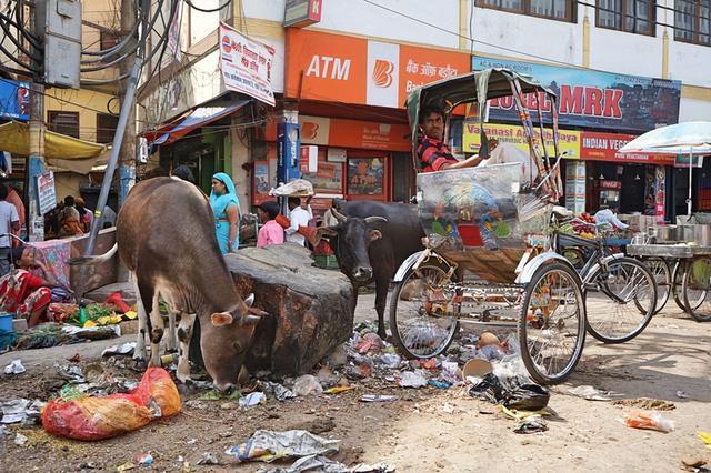 中国游客第一次去印度：虽做好心理准备，还是被“脏乱差”惊到？