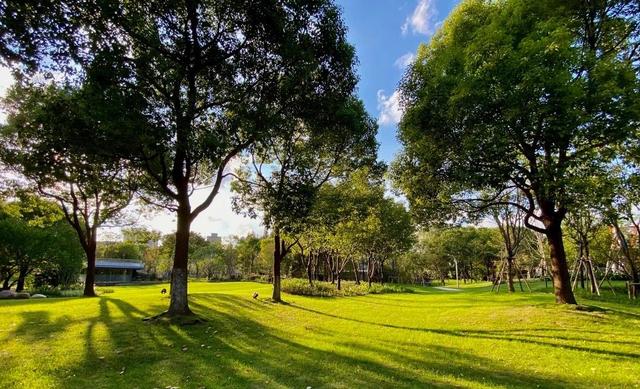 山东人，去了顺德跟南海，实话实说：顺德跟南海大不相同！