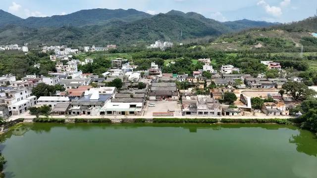 漫游惠州218最美旅游公路丨惠州这里有个“沉浸式雨林景观驿站”