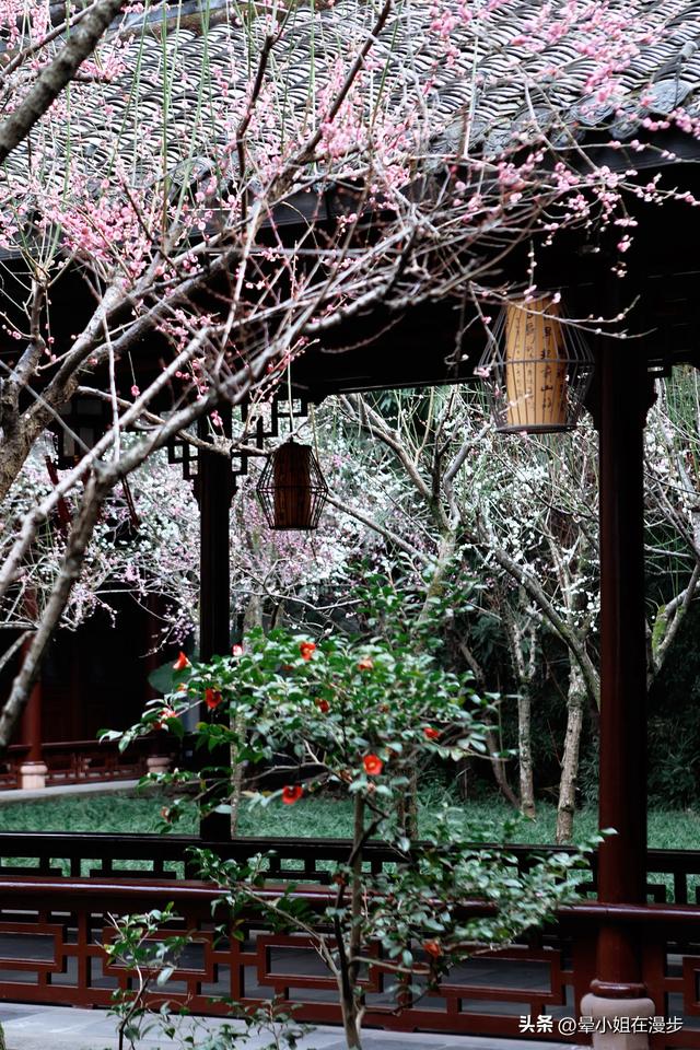 杜甫草堂带娃这么逛！4大主题探索，有趣、深度、小众，值回票价