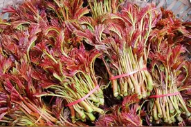 中国最难吃的十大蔬菜图片