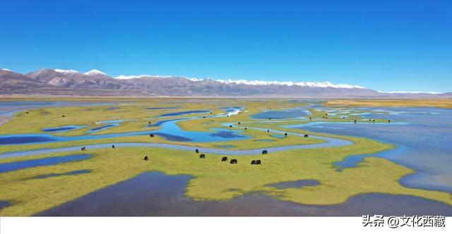 世界唯一！全年免费开放！西藏小众博物馆！99%的人没去过！