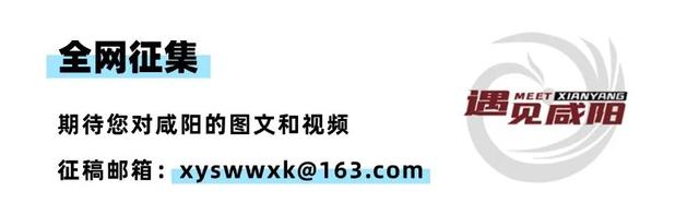 袁家村跻身全国“反向出游”顶流
