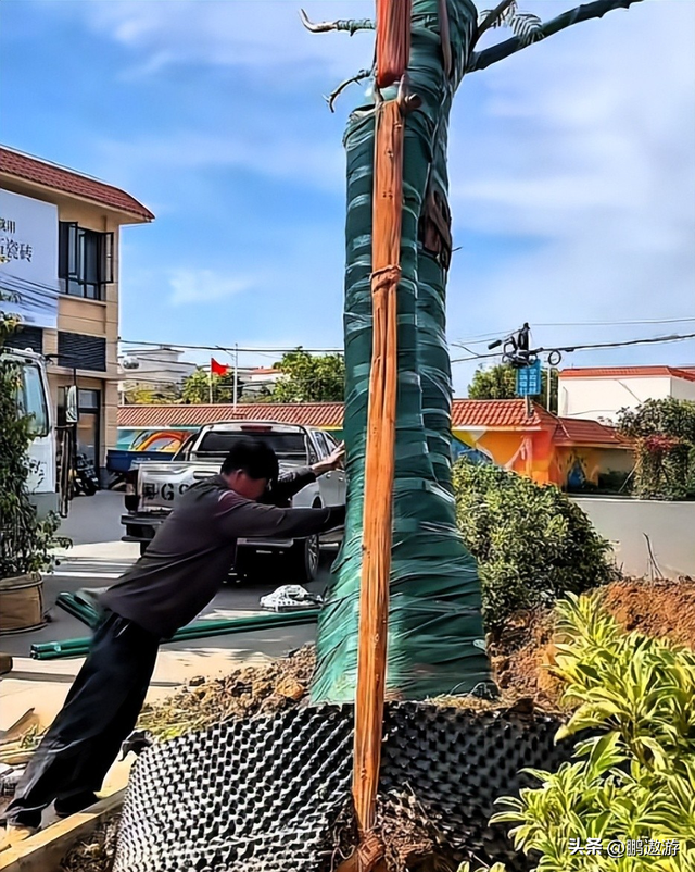 全红婵爸爸用冠军名号赚钱，把流量变成现实红利，网友评论吵翻天