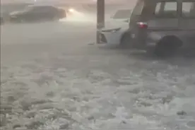 密密麻麻！浙江多地下鹌鹑蛋大冰雹图片