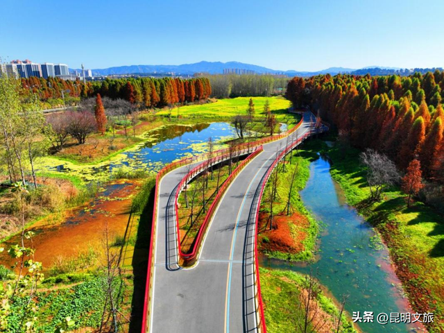 周末就冲！滇池边的骑行嘉年华来咯，持续报名中~