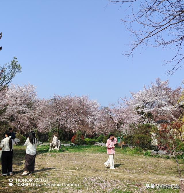 最美最妩媚，人间四月天