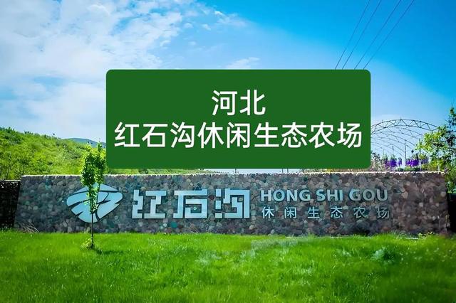 这么近 那么美 周末到河北·“县域之美”、“县”在出发 打卡沙河市