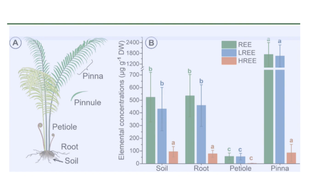 稀土能"种"出来了? 中国新发现"可再生"稀土矿，反击再添新筹码！