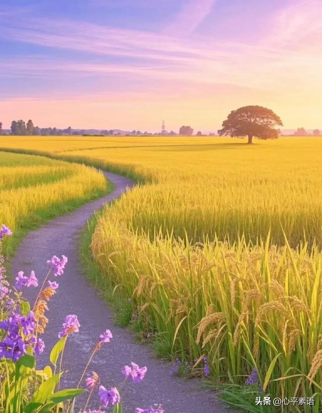 两性关系：55-65岁这十年，惜命的方式，不是锻炼，是做好这6点