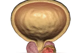 前列腺养生全攻略，每天坚持3分钟，前列腺液分泌更旺盛图片