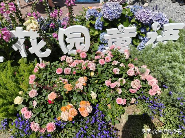 武汉十二月——一月一帧藏走过2025的四季光影