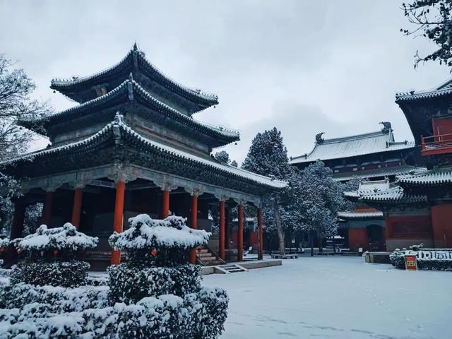 收好这份石家庄“雪景打卡地图”！走起→