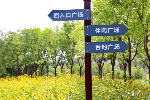 前人栽树后人乘凉！这儿还是您熟悉的衙门口吗？