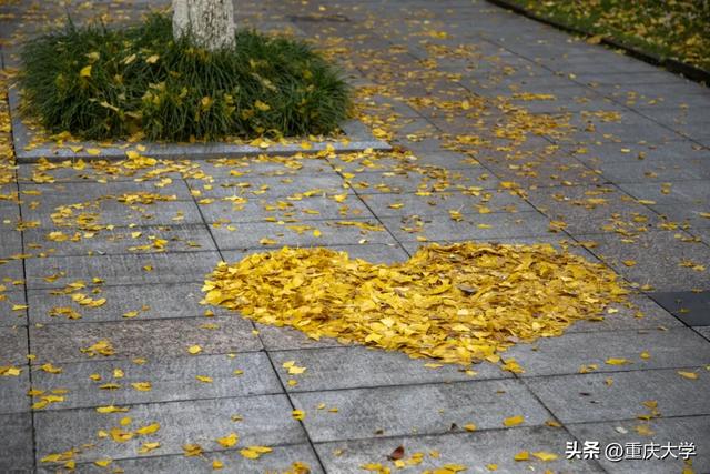 重大限定皮肤上新，超出片！🤳