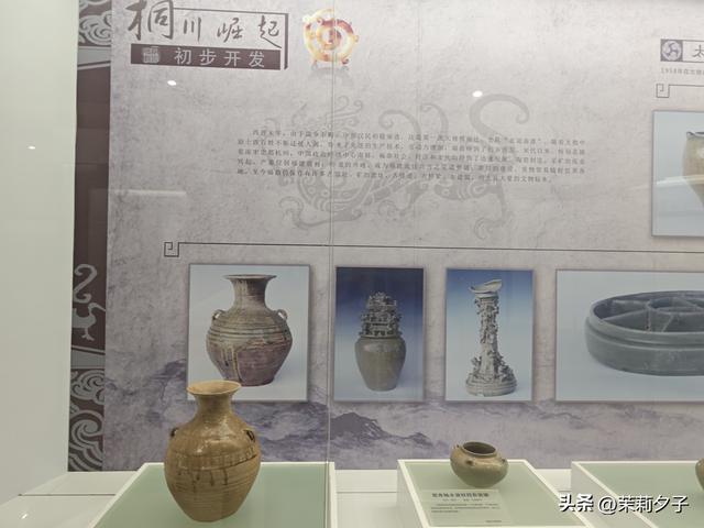 福鼎市区一日游：从白茶发源地到市井小吃赏唐风建筑品山海韵味