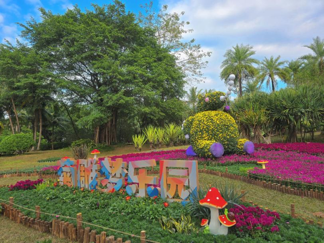 超5000平方米，限时21天！深圳又一花事盛宴要来了