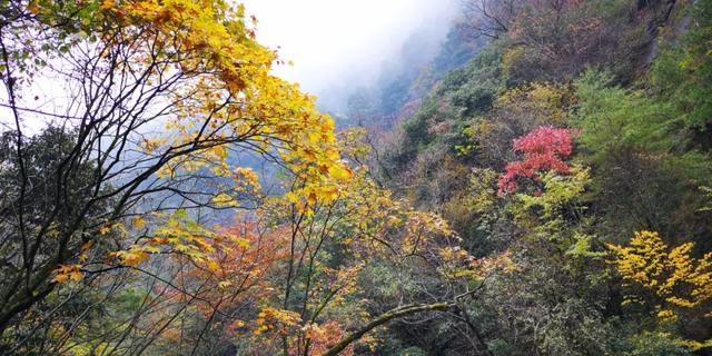 来洋县华阳！赴一场秋日之约~