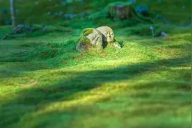 温暖心灵！24句朋友问候的暖心句子图片