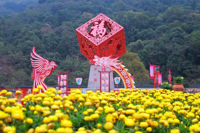 春风有信，木棉花开有期！在东莞观音山，找到了春天热烈的模样！