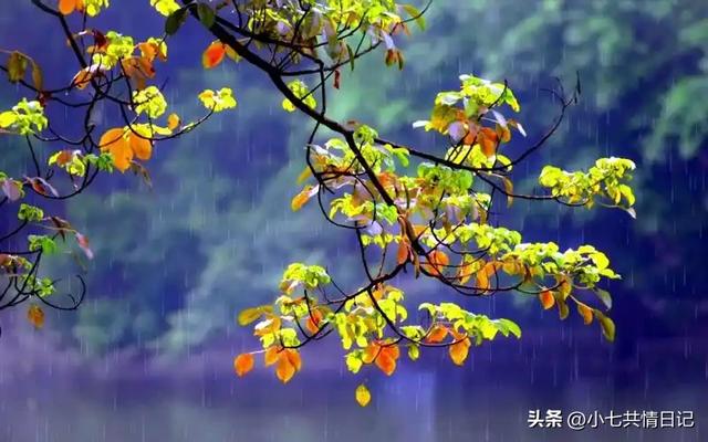 让你瞬间释怀的走心文案，建议永久收藏。