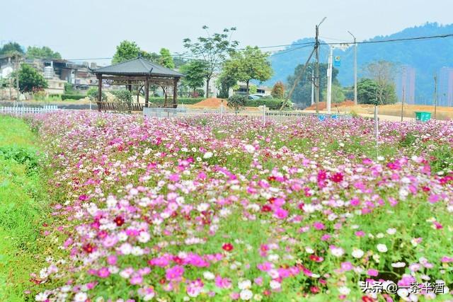 福建莆田自驾游必读！免费营地、主要景点、特色美食都在这里
