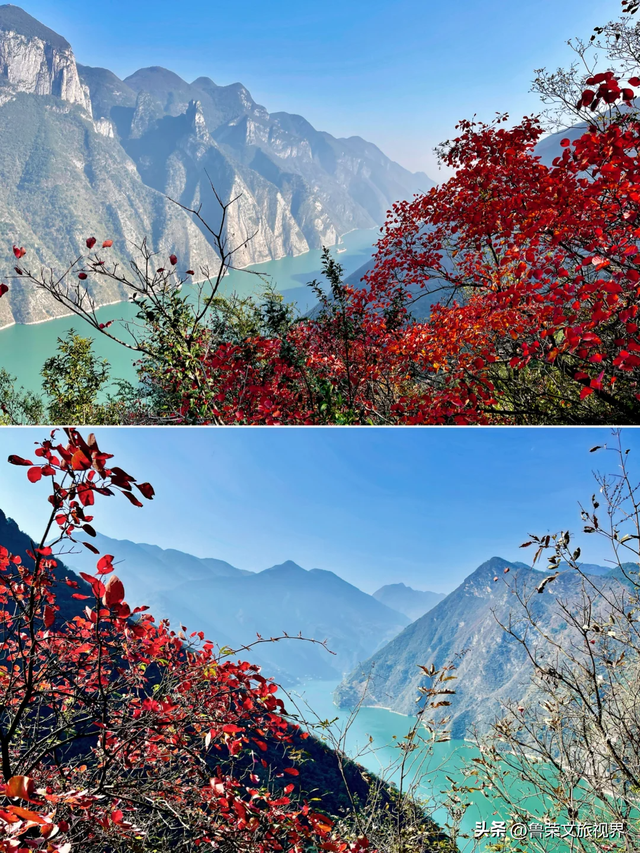 徒步三峡：霜叶漫山处，一步一千年