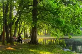 责任心的正能量句子（精选230句）图片