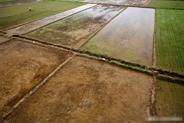 巴西大豆坐地起价？对华报价疯涨，中国买家集体停购：等两个时机