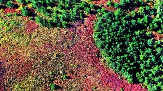 走进赤峰马鞍山林场 邂逅绚烂山林秋色