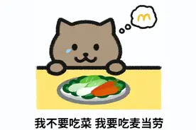 两年花51万讨好女友，他最终跳江自尽，事情真相迎来反转？图片