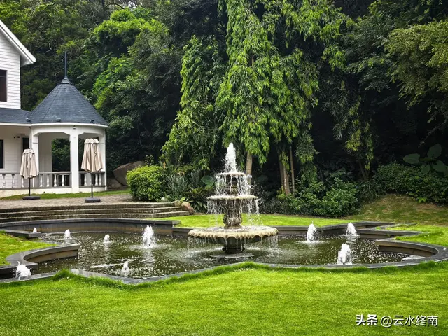 一个五A级植物园，到底藏着哪些值得看的地方，这是最实在的攻略